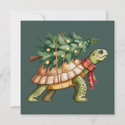 Kerstmis Zeeschildpad Liefhebber Geschenk Xmas Boo Feestdagenkaart (Voorkant)