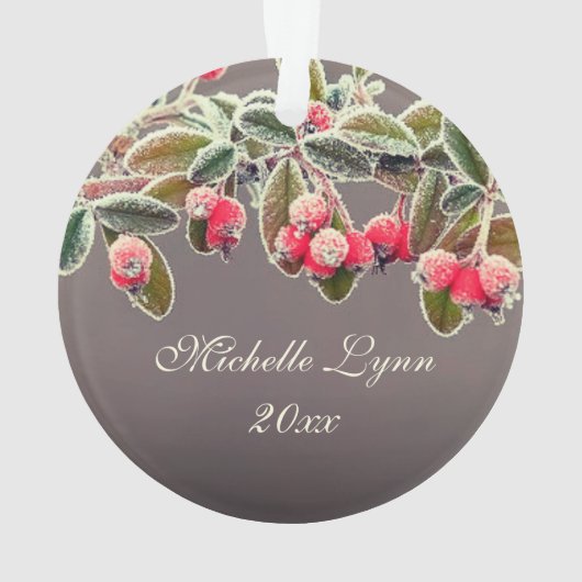 Kerstmis Zegen Nummers 6:24-26 Heer zegene u Ornament (achterkant)