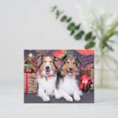 Kerstmis - Zena & Verpakker - Shelties Feestdagenkaart (Staand voorkant)