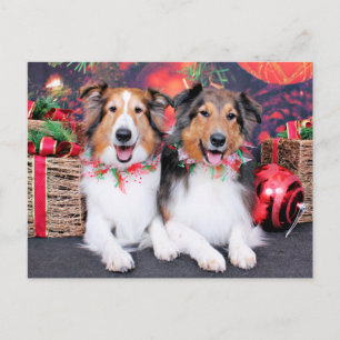 Kerstmis - Zena & Verpakker - Shelties Feestdagenkaart