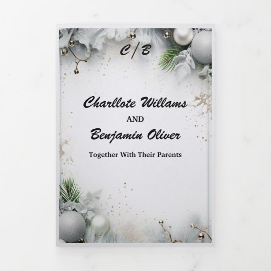 Kerstmis Zilveren Magische Winter Minimaal Geperso Drieluik Uitnodiging (Cover)