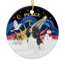 Kerstmis zonsopgang - Driekleurige Cavalier