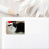 Kerstmis Zwart en Witte Kat Etiket (Insitu)