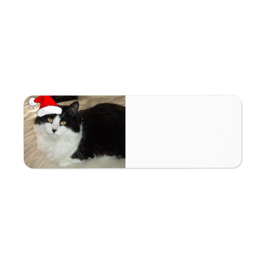 Kerstmis Zwart en Witte Kat Etiket (Voorkant)
