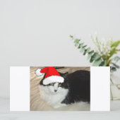 Kerstmis: zwart met witte paardenbont (Staand voorkant)