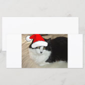 Kerstmis: zwart met witte paardenbont (Voorkant / Achterkant)