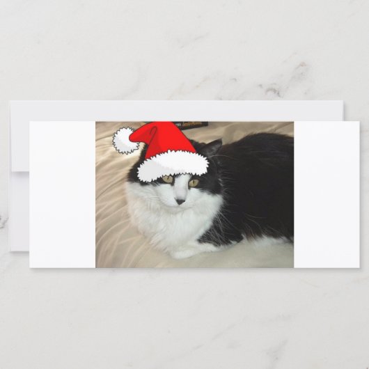 Kerstmis: zwart met witte paardenbont (Voorkant)