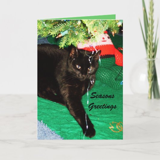 KERSTMIS ZWARTE CAT kaart (Voorkant)