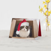 Kerstmiskat in Kartondoos Kaart (Gele Bloem)