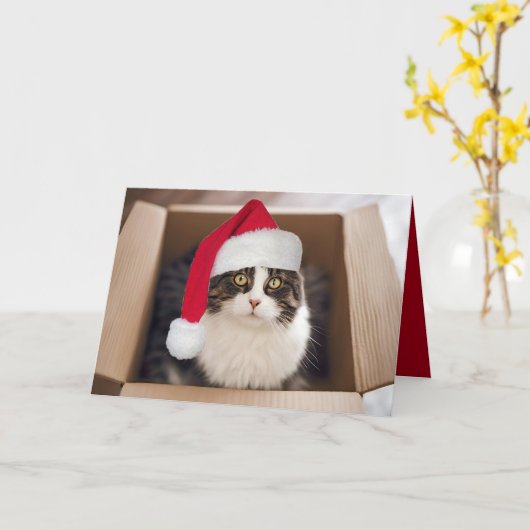 Kerstmiskat in Kartondoos Kaart (Gele Bloem)