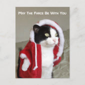 Kerstmisparodie Cat Funny Post Kaart Funny (Voorkant)