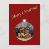 Kerstmisscène  Briefkaart (Voorkant)