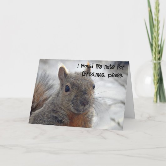 Kerstmiswens van de eekhoorn feestdagen kaart (Voorkant)
