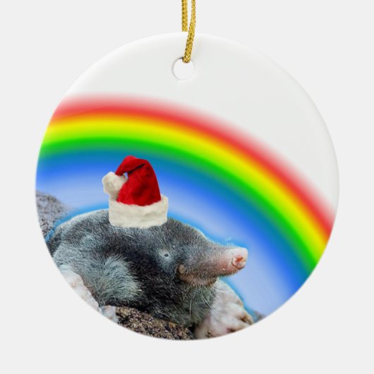 Kerstmols Keramisch Ornament (Voorkant)