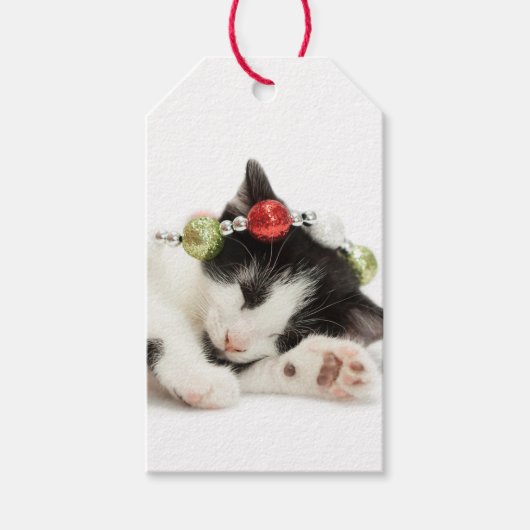 Kerstmorgen Kitten Cadeaulabel (Voorkant)