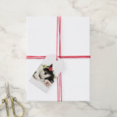 Kerstmorgen Kitten Cadeaulabel (Met Touw)