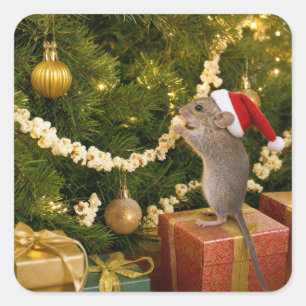 Kerstmuis die popcornslinger op boom eet vierkante sticker