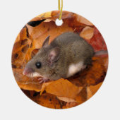 kerstmuis keramisch ornament (Voorkant)