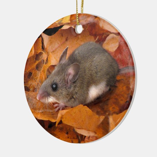 kerstmuis keramisch ornament (Links)