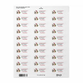 Kerstmuts Great Pyrenees Kerst Retouradres Etiket (Full Sheet)