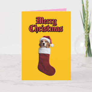 Kerstmuts voor Beagle Feestdagen Kaart