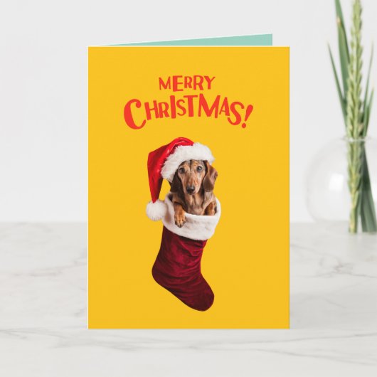 Kerstmuts voor Dachshund Feestdagen Kaart (Voorkant)