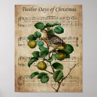 Kerstmuur Kunst-Patrijs in een Perenboom Poster