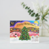 Kerstmuziek 2 - Bichon Frise (twee) Feestdagenkaart (Staand voorkant)