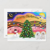 Kerstmuziek 2 - Bichon Frise (twee) Feestdagenkaart (Voorkant / Achterkant)