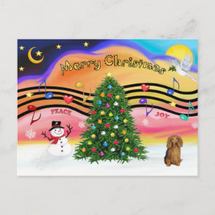 Kerstmuziek 2 - Dachshund (langharige sabel) Feestdagenkaart