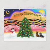 Kerstmuziek 2 - Dachshunds (twee) Feestdagenkaart (Voorkant)