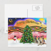 Kerstmuziek 2 - Duitse herders (drie) Feestdagenkaart (Voorkant / Achterkant)