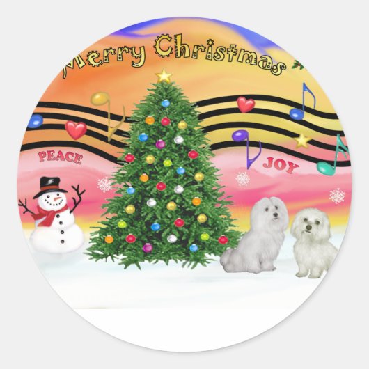 Kerstmuziek 2 - Maltees (twee) Ronde Sticker (Voorkant)