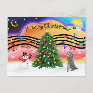 Kerstmuziek 2 - Poodle (Zilveren Standaard) Feestdagenkaart