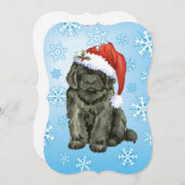 KerstNewfoundland Feestdagenkaart (Voorkant / Achterkant)