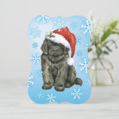 KerstNewfoundland Feestdagenkaart (Staand voorkant)