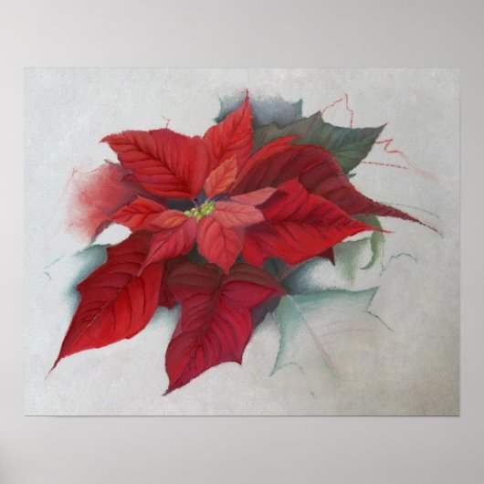 kerstolie van Poinsettia Poster (Voorkant)