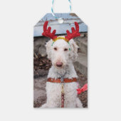 KerstOllie Cadeaulabel (Voorkant)