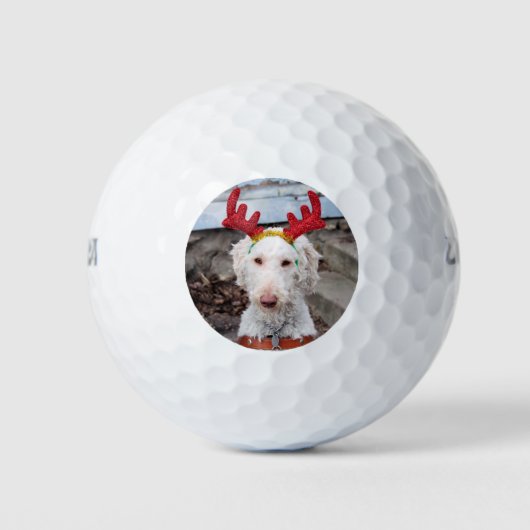 KerstOllie Golfballen (Voorkant)
