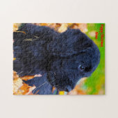 Kerstomaas Legpuzzel (Horizontaal)
