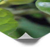 Kerstomaten op de foto van het poster van de wijns (Hoek)