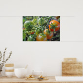 Kerstomaten op de foto van het poster van de wijns (Keuken)