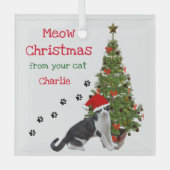 Kerstornament van je kat glas ornament (Voorkant)