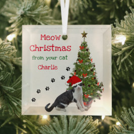 Kerstornament van je kat glas ornament