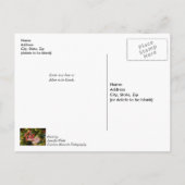 Kerstornament van koekhuis Hulp bij het snel herst Briefkaart (Achterkant)