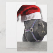 kerstpaard briefpapier (Voorkant / Achterkant)