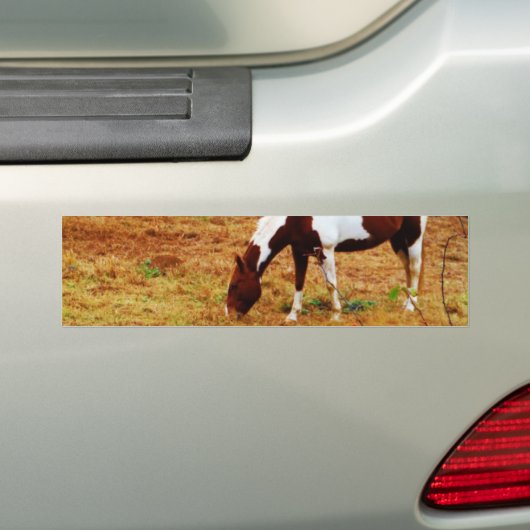kerstpaard bumpersticker (Op auto)