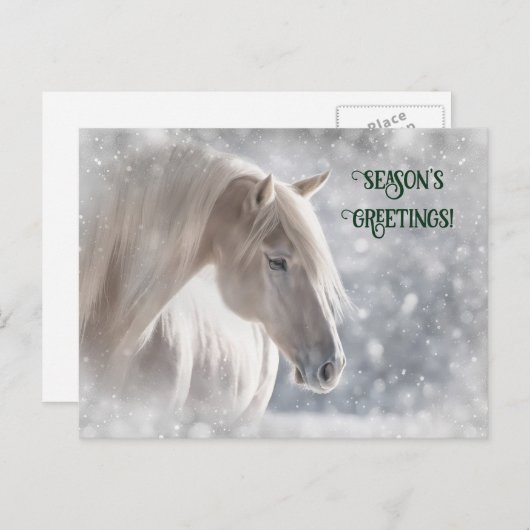 Kerstpaard en Briefkaart (Voorkant / Achterkant)