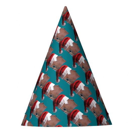 kerstpaard feesthoedjes (Voorkant)