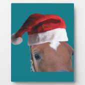 kerstpaard fotoplaat (Voorkant)